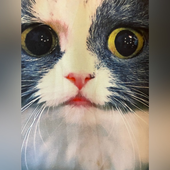 Adorable cat galaxy sweater - Picture 3 of 5